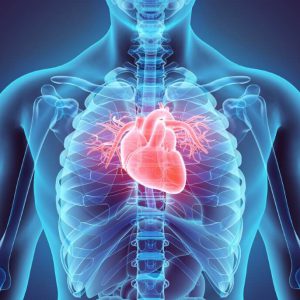 فروش تجهیزات کلینیک قلب