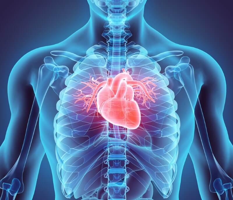 فروش تجهیزات کلینیک قلب