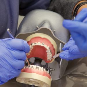 استخدام دستیار دندانپزشک مبتدی